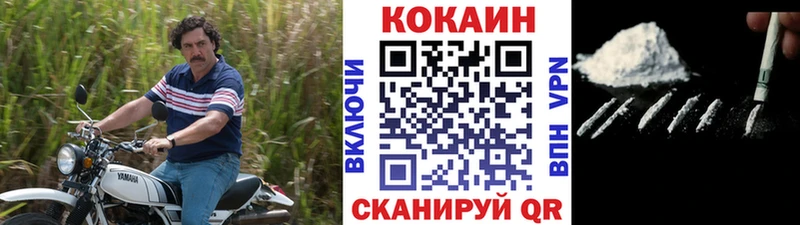 Купить закладки  Пудож  Cocaine Эквадор 