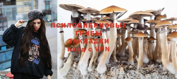 гашик Каменск-Шахтинский